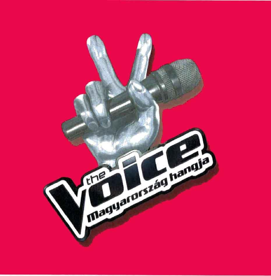 A The Voice - Magyarország hangja című, korábban a TV2-n látott műsor logója a Szellemi Tulajdon Nemzeti Hivatalának oldalán