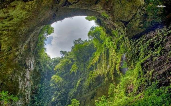 Man Noticed This Hole In A Rock. But What;s Inside Has Astounded The Whole World (1)