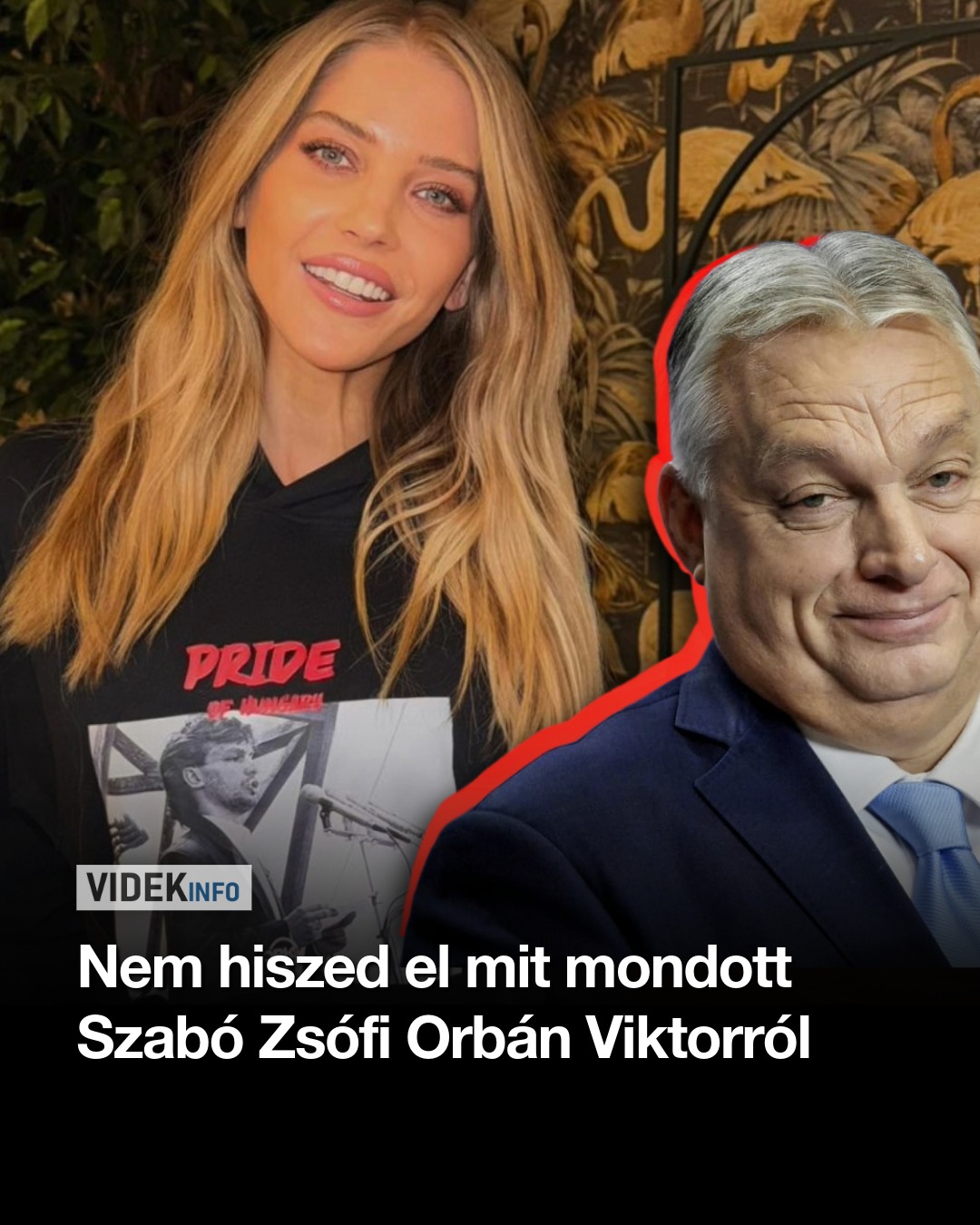 Szabó Zsófi olyan dolgot mondott Orbán Viktorról, hogy mindenki csak nézett