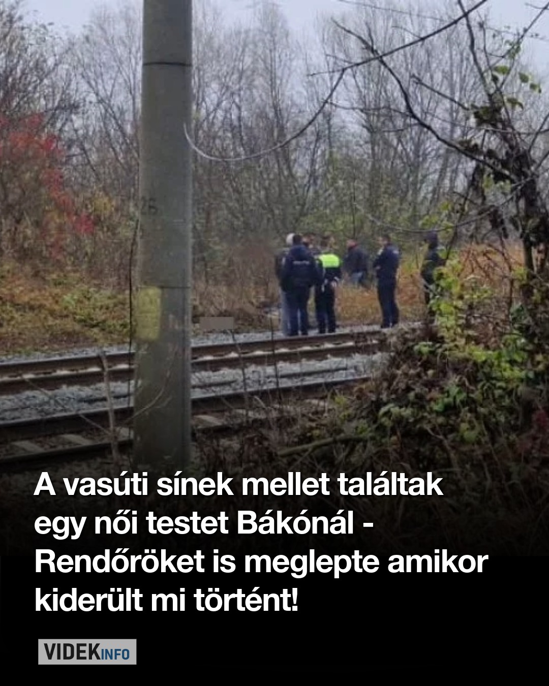 A vasúti sínek mellet találtak egy női testet Bákónál – Rendőröket is meglepte amikor kiderült mi történt!