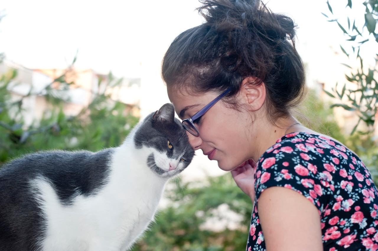 Érdekes oka van annak, ha egy macska a fejét hozzád nyomja – egy nagyon fontos dolgot akar jelezni!