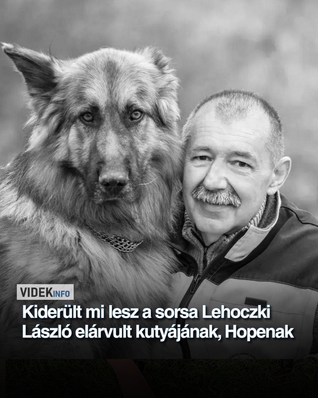 Kiderült mi lesz a sorsa Lehoczki László elárvult kutyájának, Hopenak