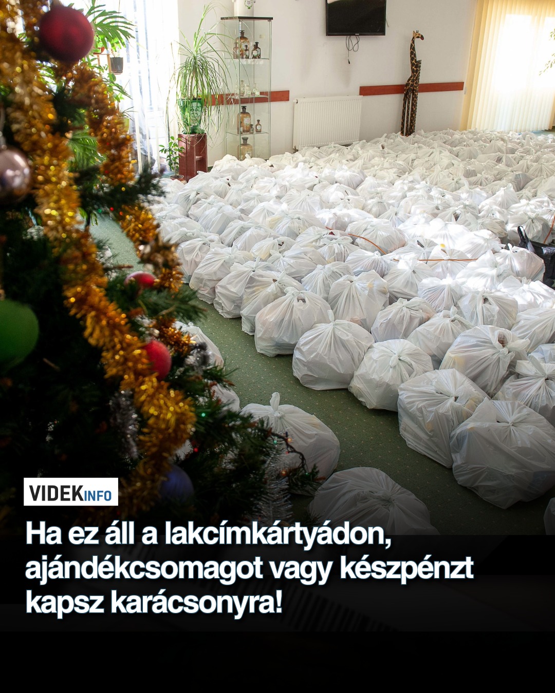 Ha ez áll a lakcímkártyádon, ajándékcsomagot vagy készpénzt kapsz karácsonyra!