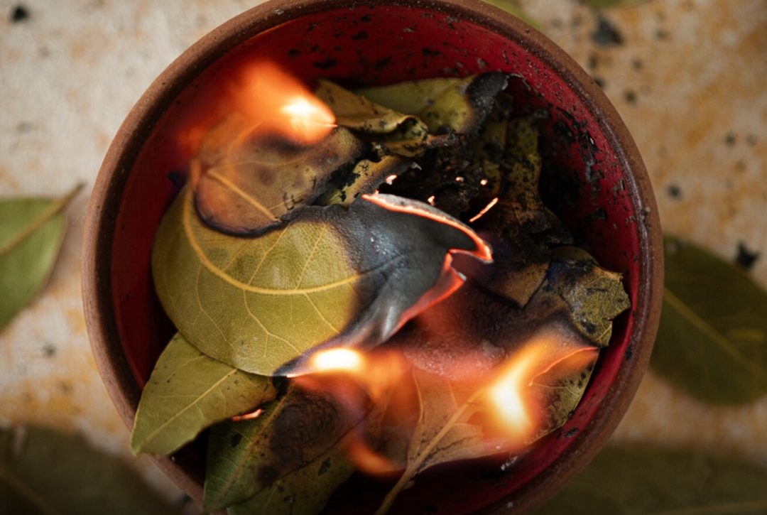 Hihetetlen, mire képes a babérlevél, ha elégetjük – 6 hatás, amiről kevesen tudnak