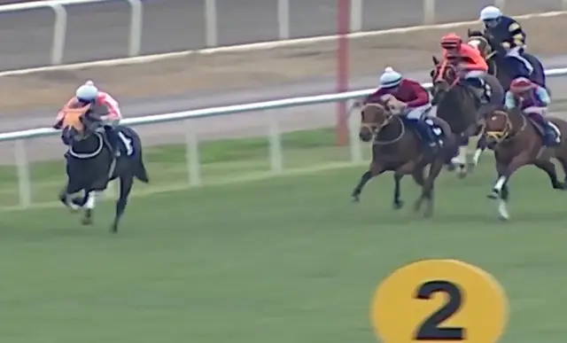 Botrány! Egy vendég chipet talált az éttermi levesben – kiderült, hogy egy versenylóhoz tartozik