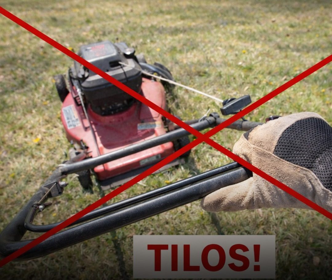 Kiadták a figyelmeztetést: Eddig a dátumig szigorúan tilos füvet nyírni!