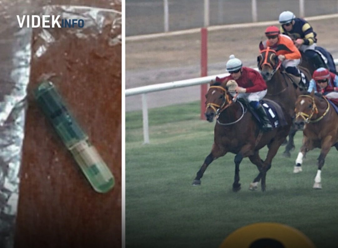 Botrány! Egy vendég chipet talált az éttermi levesben – kiderült, hogy egy versenylóhoz tartozik