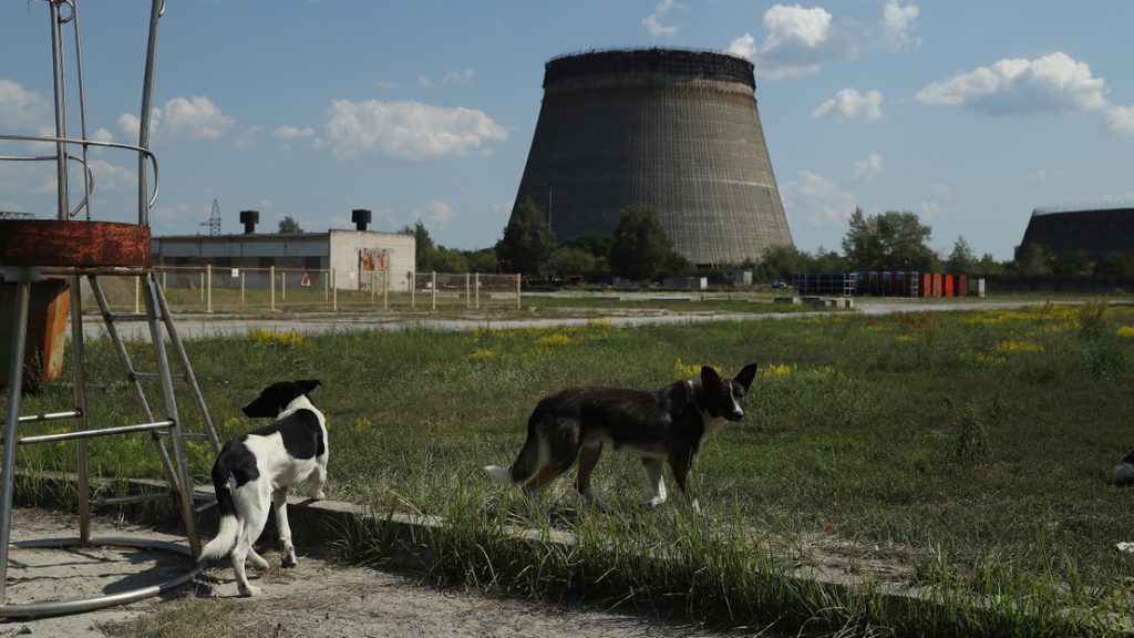 40 éve történt a Csernobili atomerőmű baleset – Sokakat érintett Magyarországon is, de évekig nem árulták el