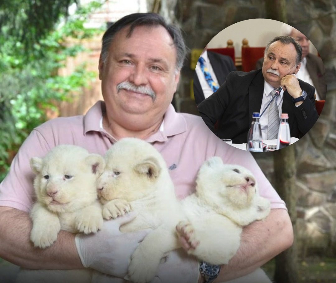 Gajdos László meghozta az első döntését: Azonnal hatállyal érvénybe is lépett!