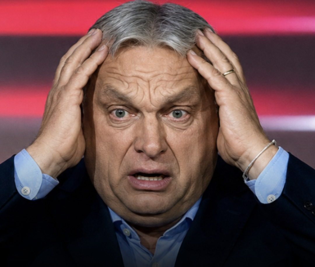 Felálltak a vizsgálóbizottságok: remeghetnek a közpénzzel mutyizók