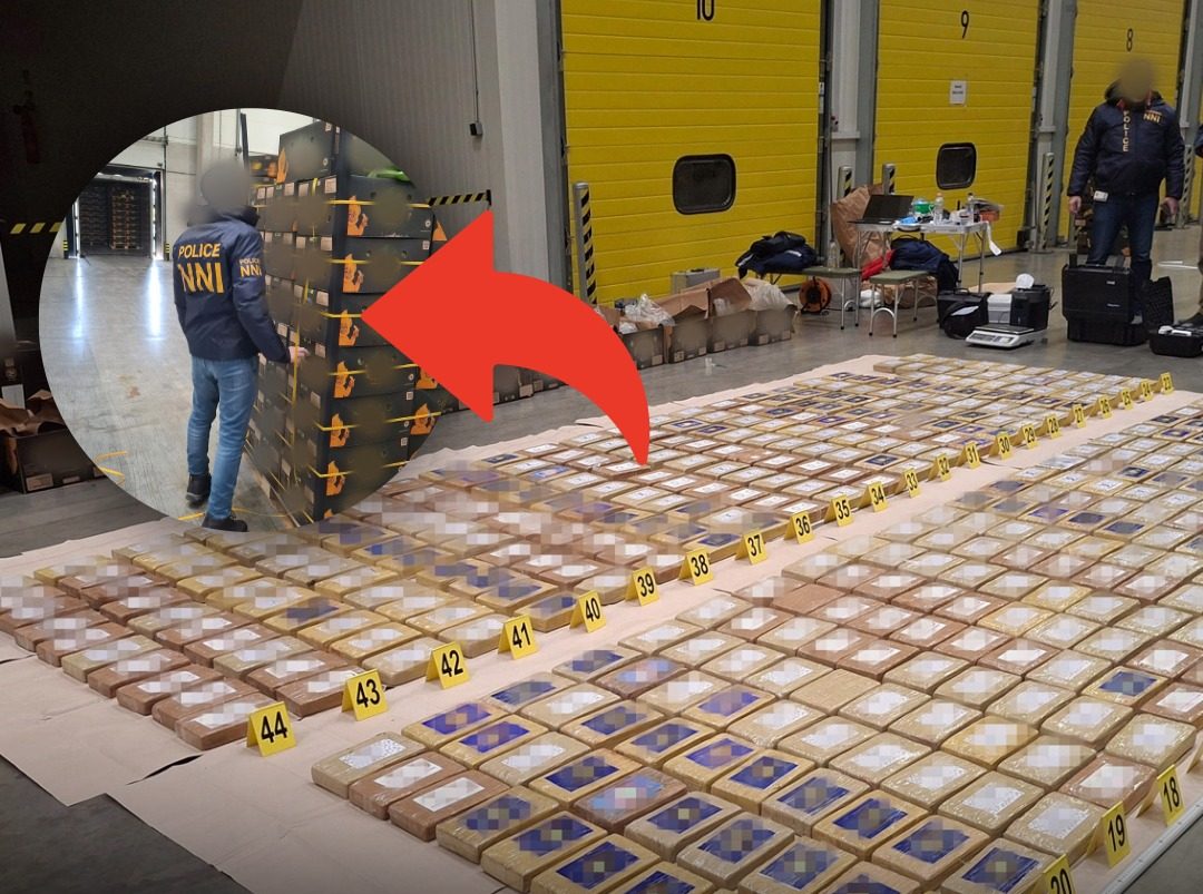 Minden idők legnagyobb magyar kokainfogása: 522 kiló drogot találtak a rendőrök Csepelen