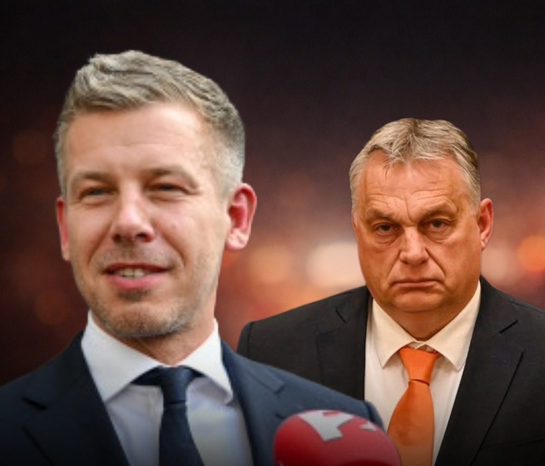 Magyar Péter felmosta a padlót Orbán Viktorral, ráolvasta a bujkáló Orbánra az igazságot