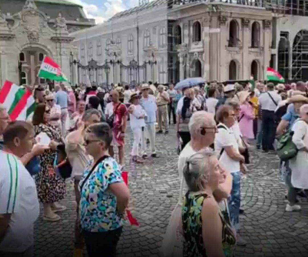 Nem hiszed el mi történt a Sulyok Tamás melletti tüntetésen