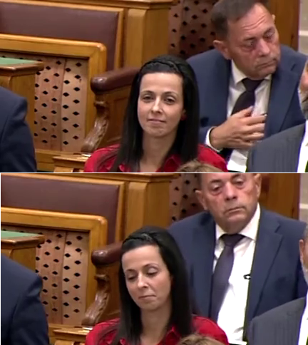 Pócs János extrémsunyi dolgot tett a parlamentben, de egy kamera véletlenül felvette az egészet